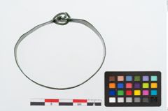 Foto von Bronzebandarmreif (NHMW-PRAE-024584)